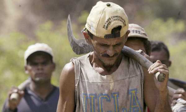 Brasil vira exemplo negativo no combate ao trabalho escravo