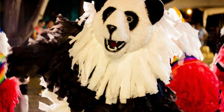 Desfile de ala ursas encerra Carnaval Tradição de João Pessoa