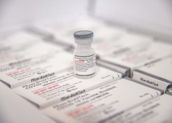 Paraíba prepara dia D para aplicação da vacina bivalente