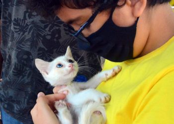 Em João Pessoa: SEMAM dá continuidade ao cadastro de protetores e ONGs de amparo animal