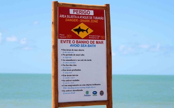 Surfista é atacado por tubarão em Olinda e está em estado grave
