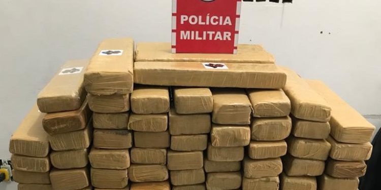 PM apreende mulher com 80kg de maconha em ônibus