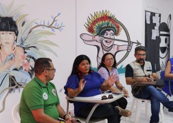 Ministra diz que é preciso garantir alimentos próprios dos yanomami