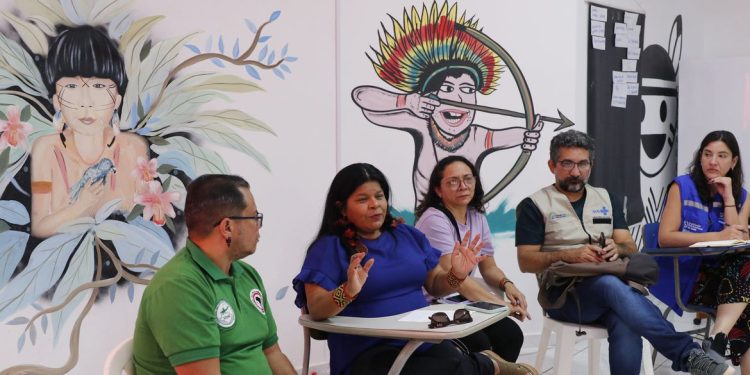 Ministra diz que é preciso garantir alimentos próprios dos yanomami