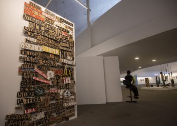 Um mês após atos golpistas, exposição em Brasília celebra a democracia