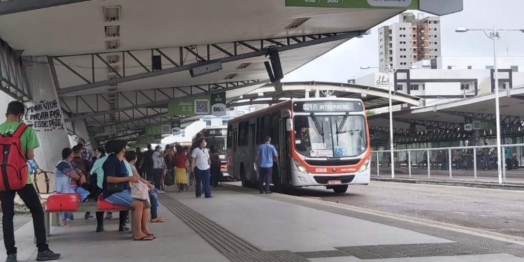 STTP reforça frota de transporte coletivo durante os eventos do Carnaval Tradição 2023