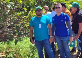 Secretaria de Agricultura de Patos e Estado implantarão projeto com 6 ha de cajueiro para beneficiar famílias da zona rural