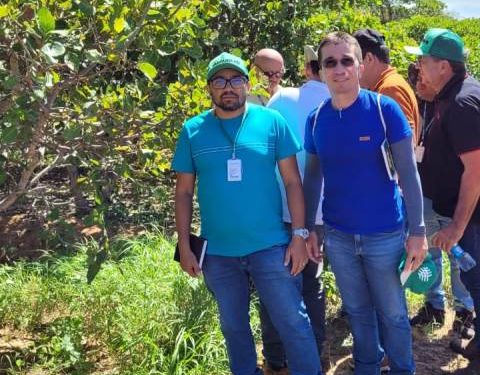 Secretaria de Agricultura de Patos e Estado implantarão projeto com 6 ha de cajueiro para beneficiar famílias da zona rural
