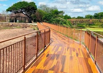 Acesso a pontes e passarelas do Vale dos Dinossauros é liberado após obras de revitalização