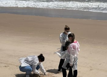 Parasitas intestinais são encontrados em 10 trechos de praias do Litoral Sul