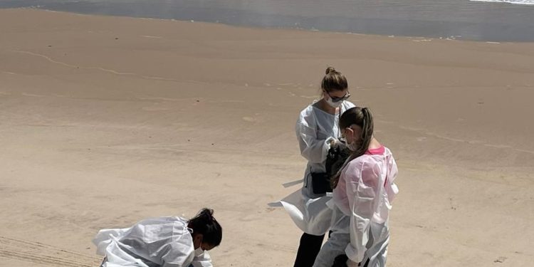 Parasitas intestinais são encontrados em 10 trechos de praias do Litoral Sul