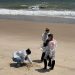 Parasitas intestinais são encontrados em 10 trechos de praias do Litoral Sul