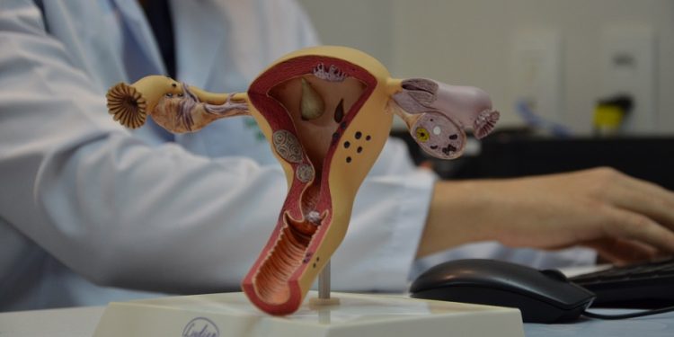 Prefeitura de Campina Grande amplia oferta de laqueaduras e vasectomias e adequa serviço à nova lei