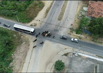 Ação integrada entre órgãos de CG visa evitar acidentes com animais de grande porte abandonados nas vias