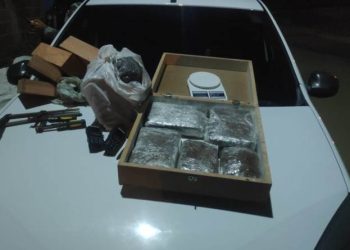 Polícia Militar desarticula esquema de tráfico e apreende 7 kg de drogas em Campina Grande
