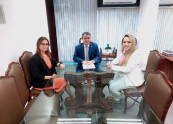 Efraim Filho discute melhorias na carreira com dirigentes do Ministério Público e AMB