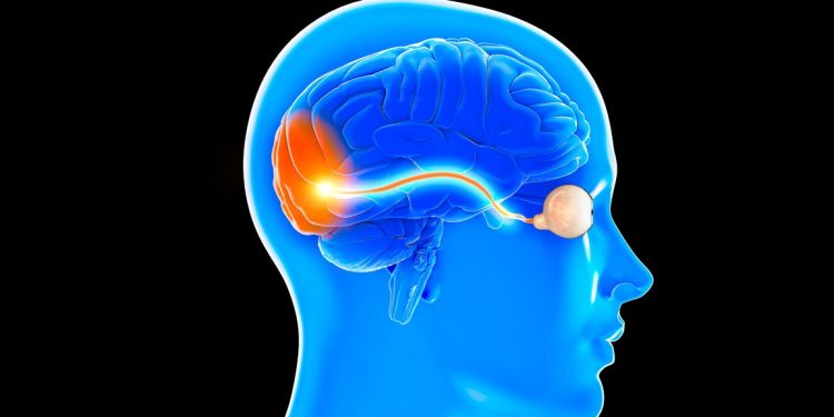 Março Verde busca trazer esperança para pessoas com doença rara