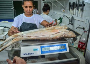 Prefeitura de João Pessoa prepara Semana do Pescado da CECAF com preços acessíveis e atrações culturais