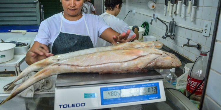 Prefeitura de João Pessoa prepara Semana do Pescado da CECAF com preços acessíveis e atrações culturais