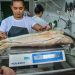 Prefeitura de João Pessoa prepara Semana do Pescado da CECAF com preços acessíveis e atrações culturais