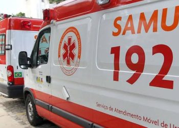 Diretor do SAMU de Patos destaca assistência e repassa orientações importantes sobre ataques de abelhas na região