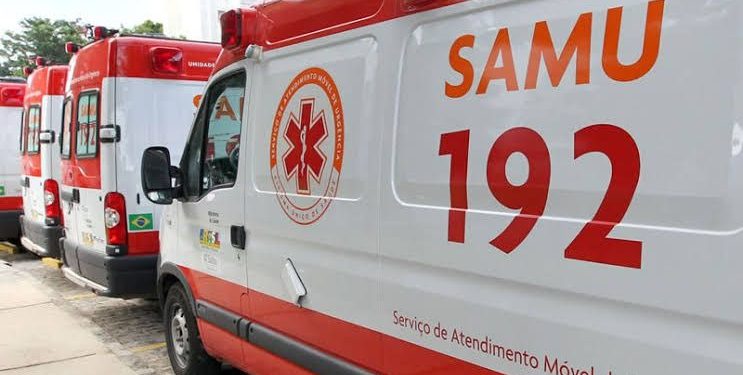 Diretor do SAMU de Patos destaca assistência e repassa orientações importantes sobre ataques de abelhas na região