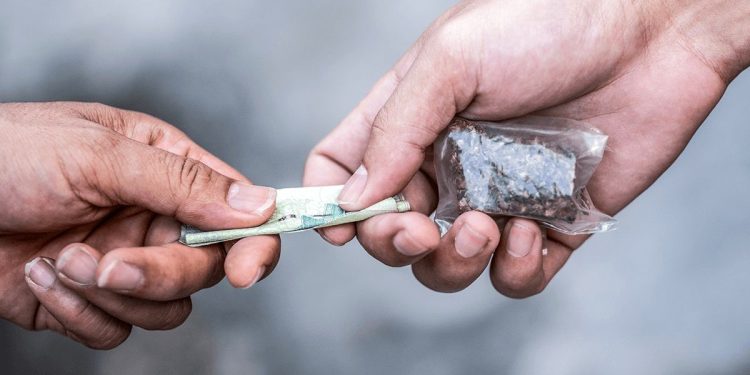 Mar do Sertão: MP denuncia 19 pessoas por tráfico de drogas e associação ao tráfico