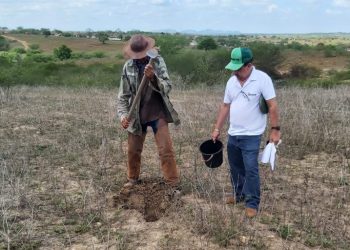 Governo constrói barragem subterrânea e incentiva agricultura familiar em Queimadas