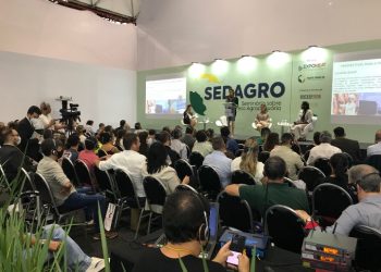 Influenza aviária terá abordagem especial durante Seminário sobre defesa agropecuária