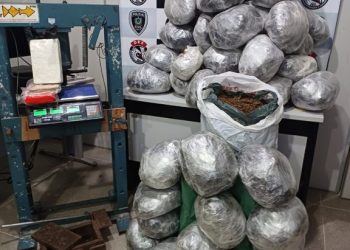 Polícia Civil realiza uma das maiores apreensões de drogas já realizadas este ano, em Campina Grande