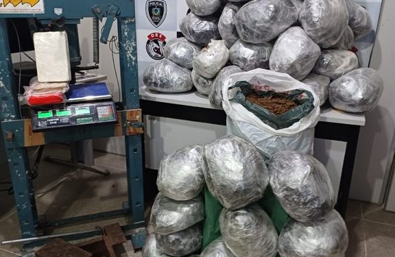 Polícia Civil realiza uma das maiores apreensões de drogas já realizadas este ano, em Campina Grande