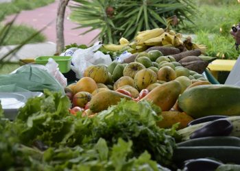 Lei aprovada na CMJP incentiva cultivo e venda de produtos orgânicos