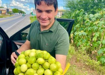 Murilo Galdino destaca potencial da cultura do umbu como gerador de desenvolvimento para o semiárido paraibano