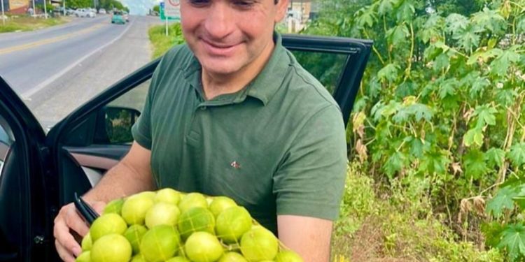 Murilo Galdino destaca potencial da cultura do umbu como gerador de desenvolvimento para o semiárido paraibano