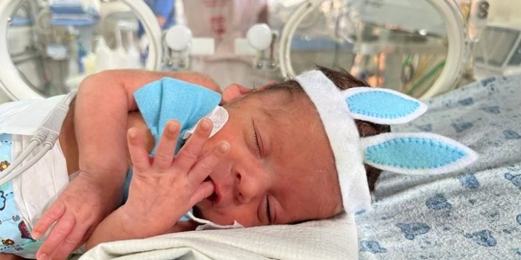 Páscoa: Hospital Edson Ramalho promove ensaio fotográfico para os recém-nascidos da UTI Neonatal