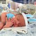 Páscoa: Hospital Edson Ramalho promove ensaio fotográfico para os recém-nascidos da UTI Neonatal