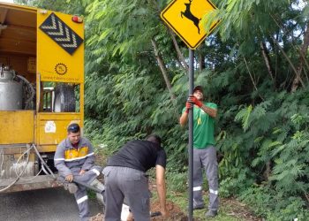 Semam promove blitz educativa contra atropelamentos de animais silvestres nesta segunda-feira
