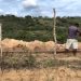 Prefeitura de Campina Grande deverá inaugurar em 20 dias obra hídrica feita em parceria com a Cagepa