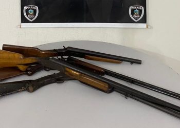 Polícia Civil prende professor universitário que usava espingarda para ameaçar cidadãos