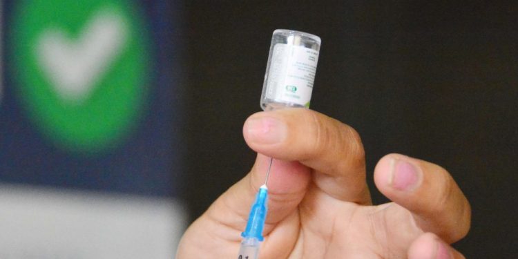 Vacinação contra Covid-19 será em diversos serviços de saúde nesta segunda-feira; confira