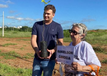 Projeto Árvores da Vida chega a mais de 100 árvores plantadas ao longo da Alça Sudeste, em Patos