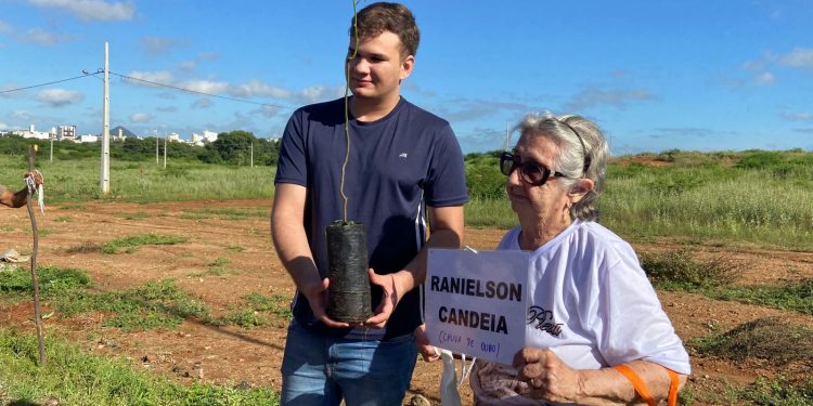 Projeto Árvores da Vida chega a mais de 100 árvores plantadas ao longo da Alça Sudeste, em Patos
