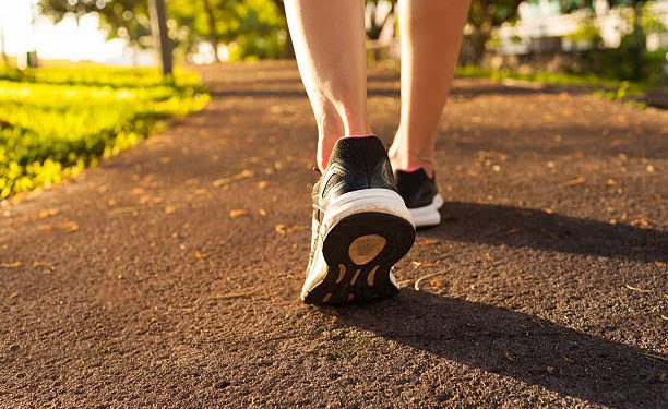 Os vários caminhos que Daniella poderá seguir em 2026