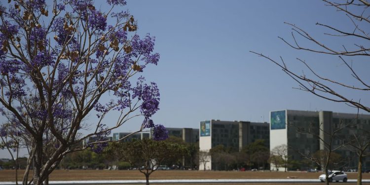 Cai a participação de mulheres em cargos no governo federal