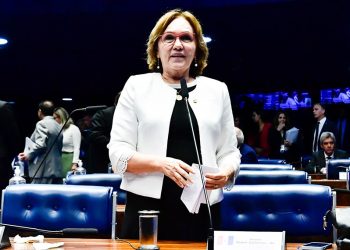Zenaide Maia é a nova procuradora especial da Mulher do Senado