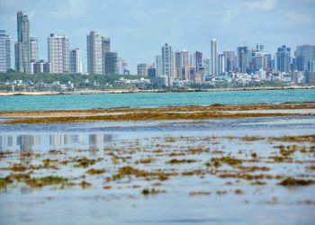 João Pessoa registra aumento de 30% no número de visitantes na cidade