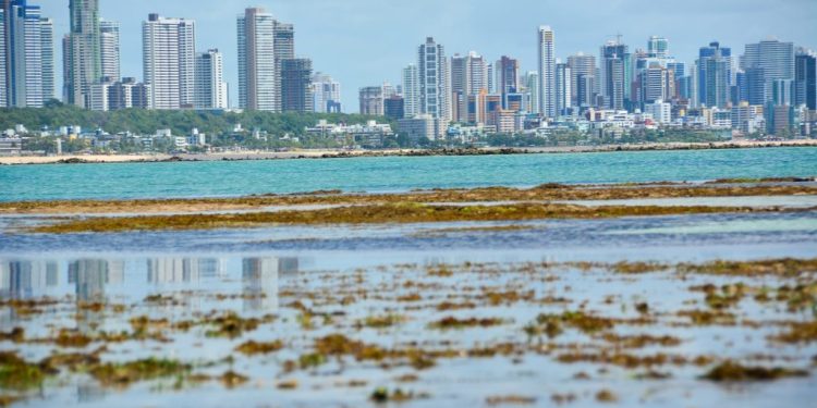 João Pessoa registra aumento de 30% no número de visitantes na cidade