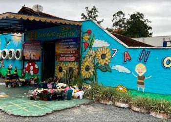 Professora que ajudou a socorrer alunos em creche atacada em Blumenau tem infarto e passa por cirurgia