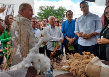 Apoio do Governo do Estado consolida produção de algodão orgânico na Paraíba