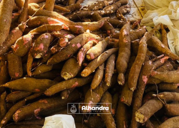 Famílias assistidas pela Prefeitura de Alhandra são beneficiadas com a distribuição de alimentos pelo PAA CONAB